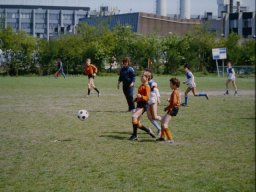 0DIA 1984 RAVA PUPS 1